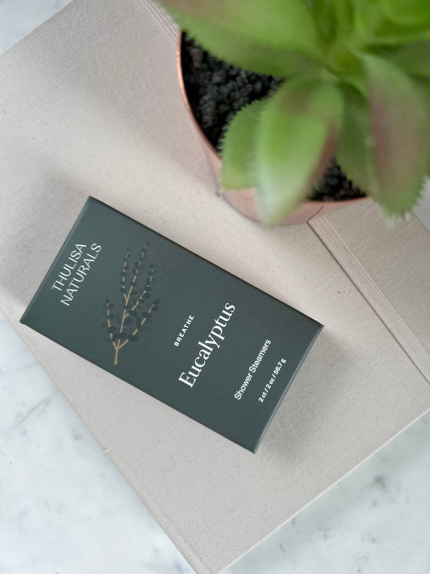 Breathe Shower steamers | Eucalyptus | 2 pack gift set