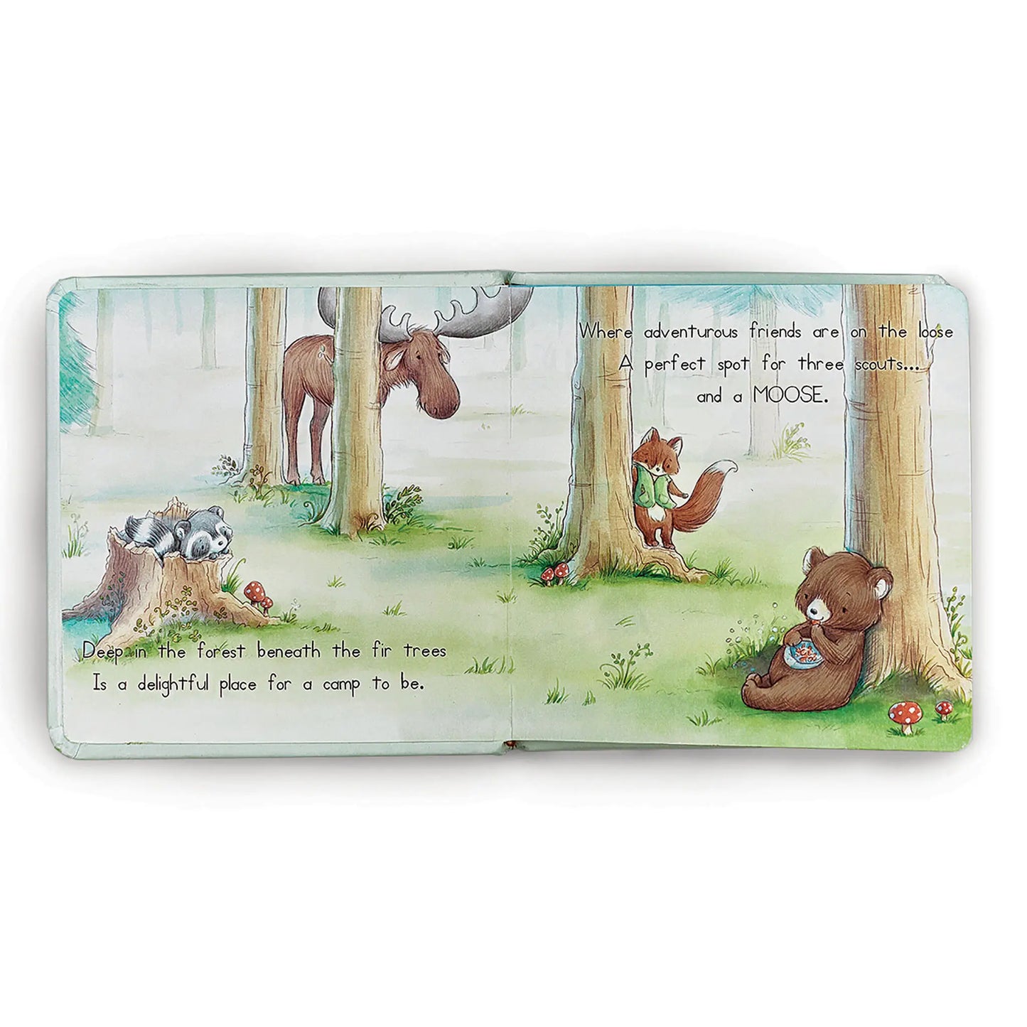 Baby Camp Cricket Gift Box