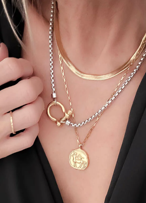 Carabiner horse Bit- Charm-Wheat Chain Stainless Necklace: Two Tone