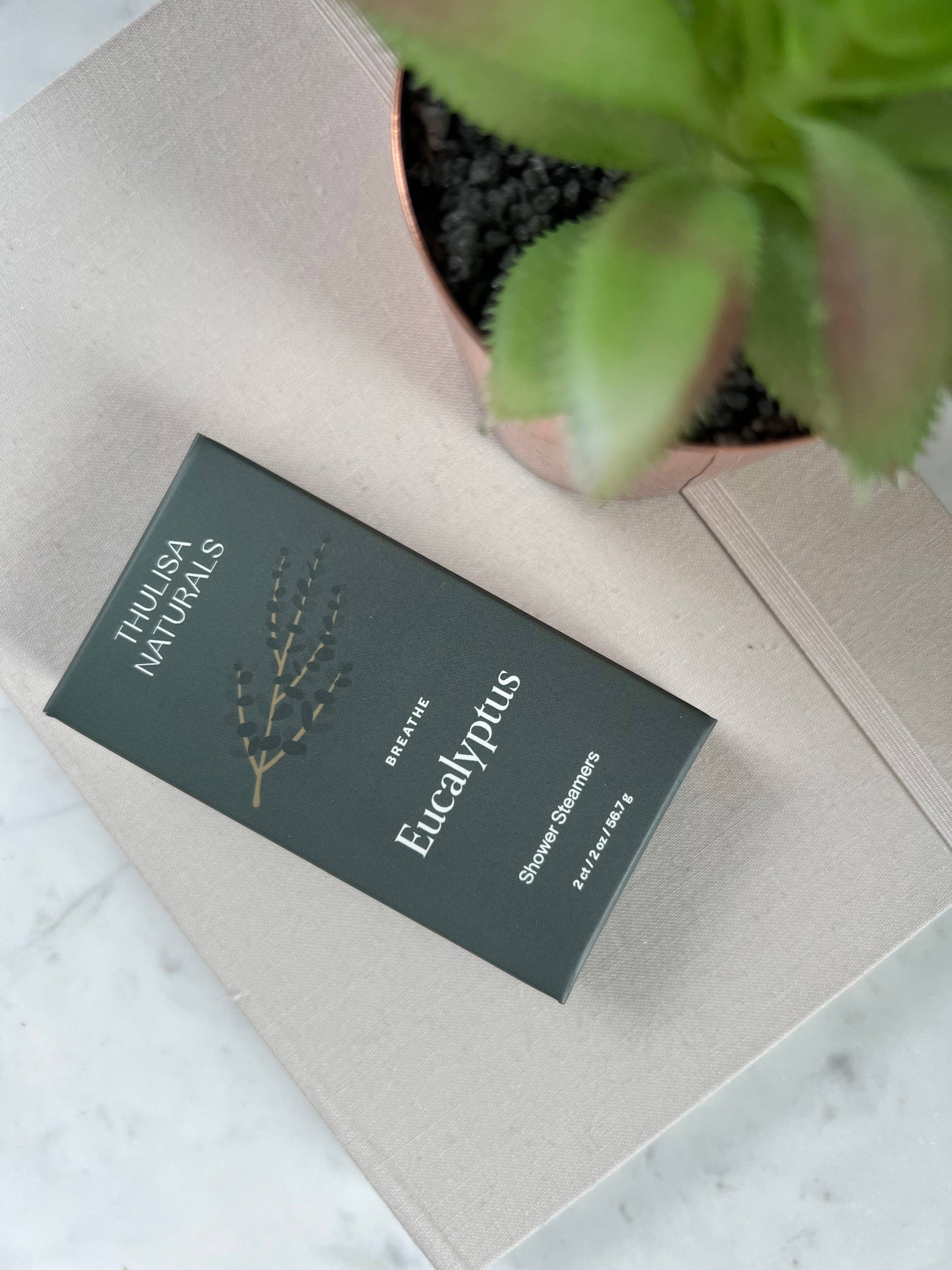 Breathe Shower steamers | Eucalyptus | 2 pack gift set